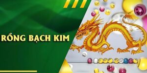 rồng bạch kim là gì?